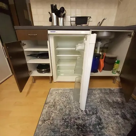 Entspannen In An Der Donau Inklusive Netflix * Passau