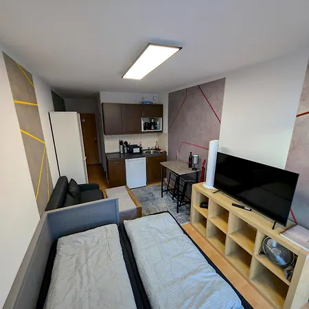 Entspannen In An Der Donau Inklusive Netflix Appartement Passau