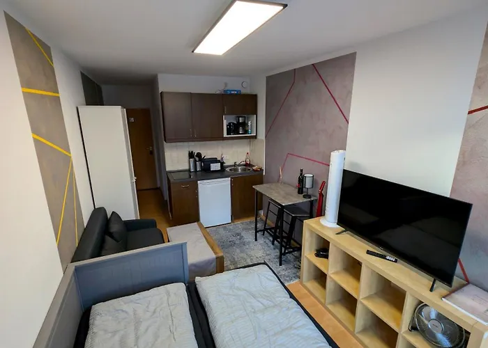 Entspannen In An Der Donau Inklusive Netflix Appartement Passau