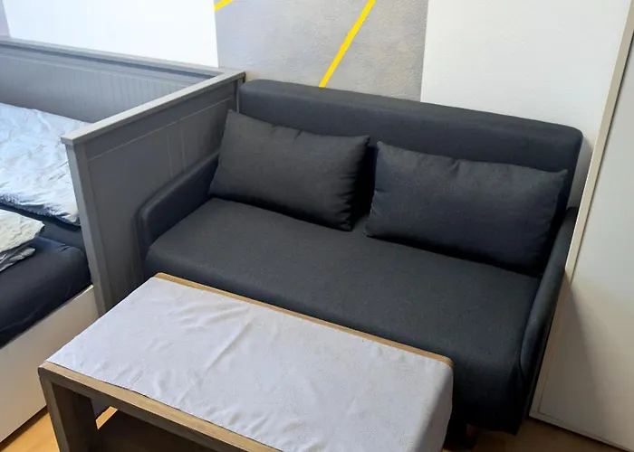 Entspannen In An Der Donau Inklusive Netflix 帕绍