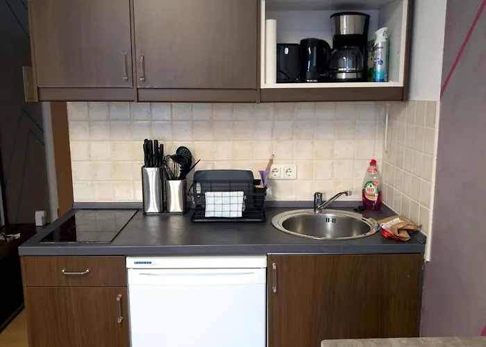 Entspannen In An Der Donau Inklusive Netflix Appartement *