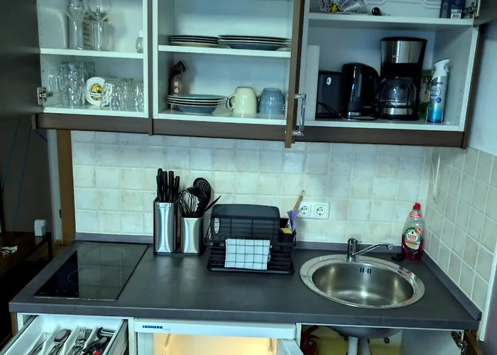 Entspannen In An Der Donau Inklusive Netflix *