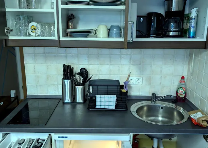 Entspannen In An Der Donau Inklusive Netflix *