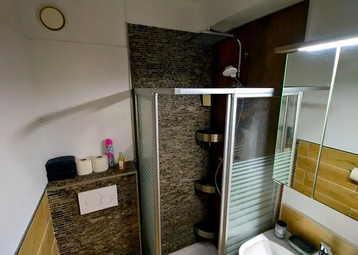 Entspannen In An Der Donau Inklusive Netflix 公寓 帕绍